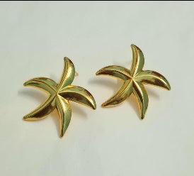 Star Shine Earring